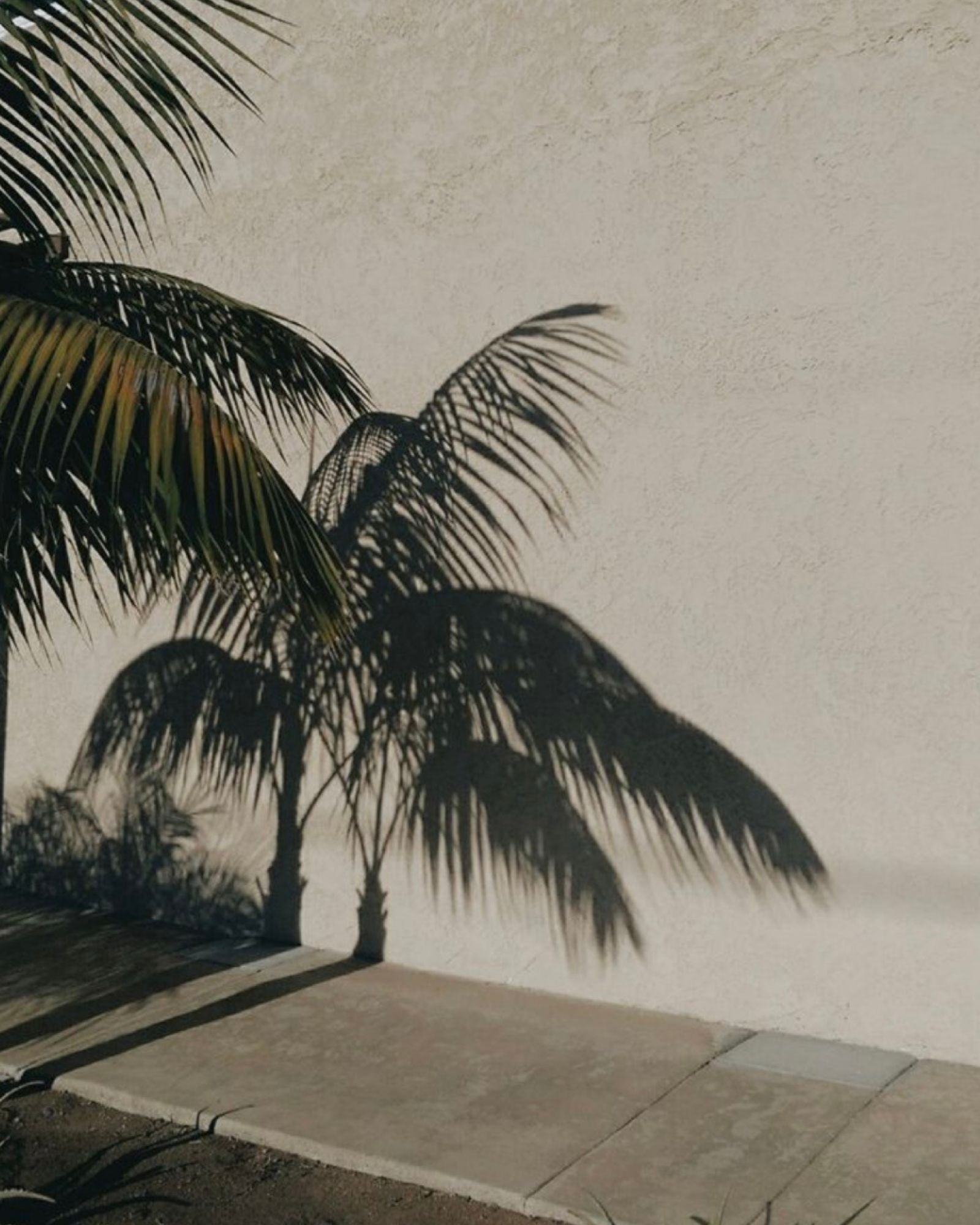 Amante Antwerp Resort Collection
