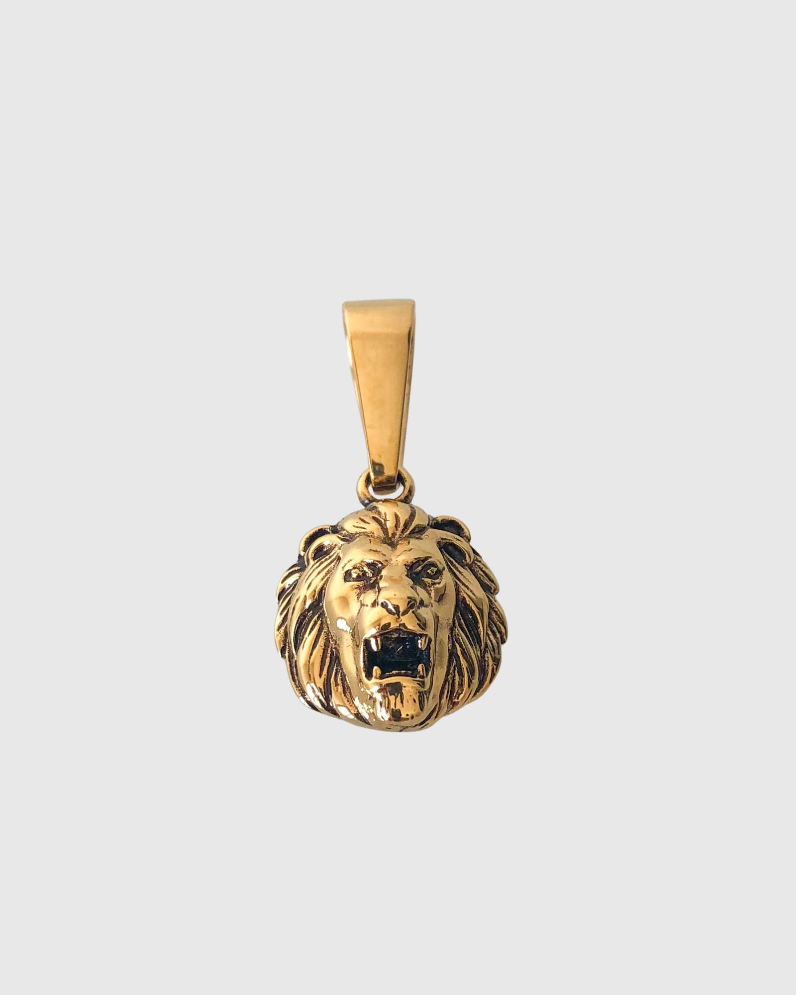 Lion Charm