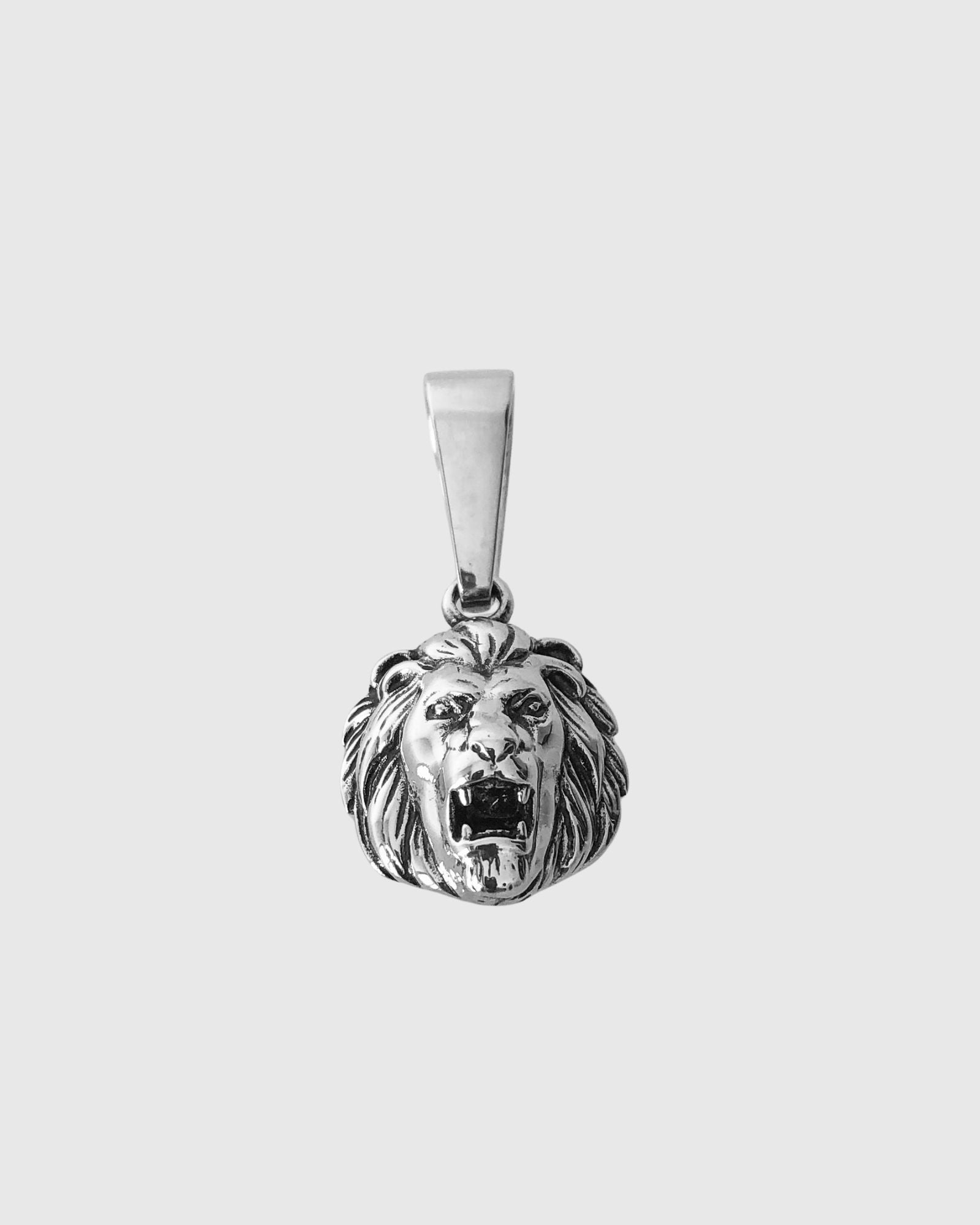 Lion Charm
