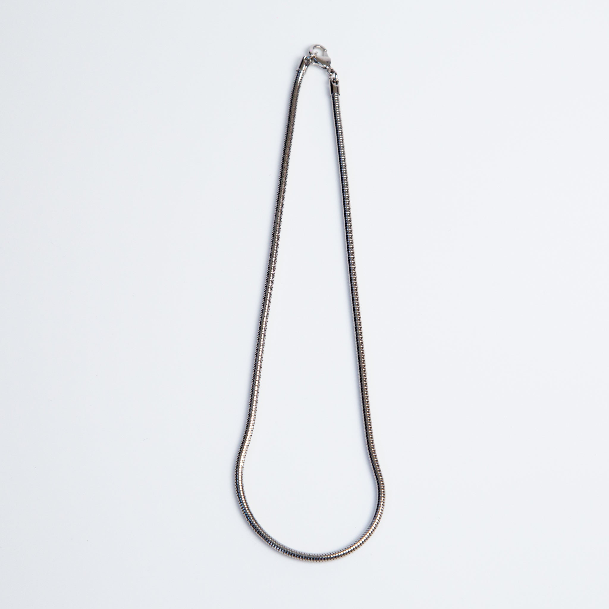 Snake Long Necklace