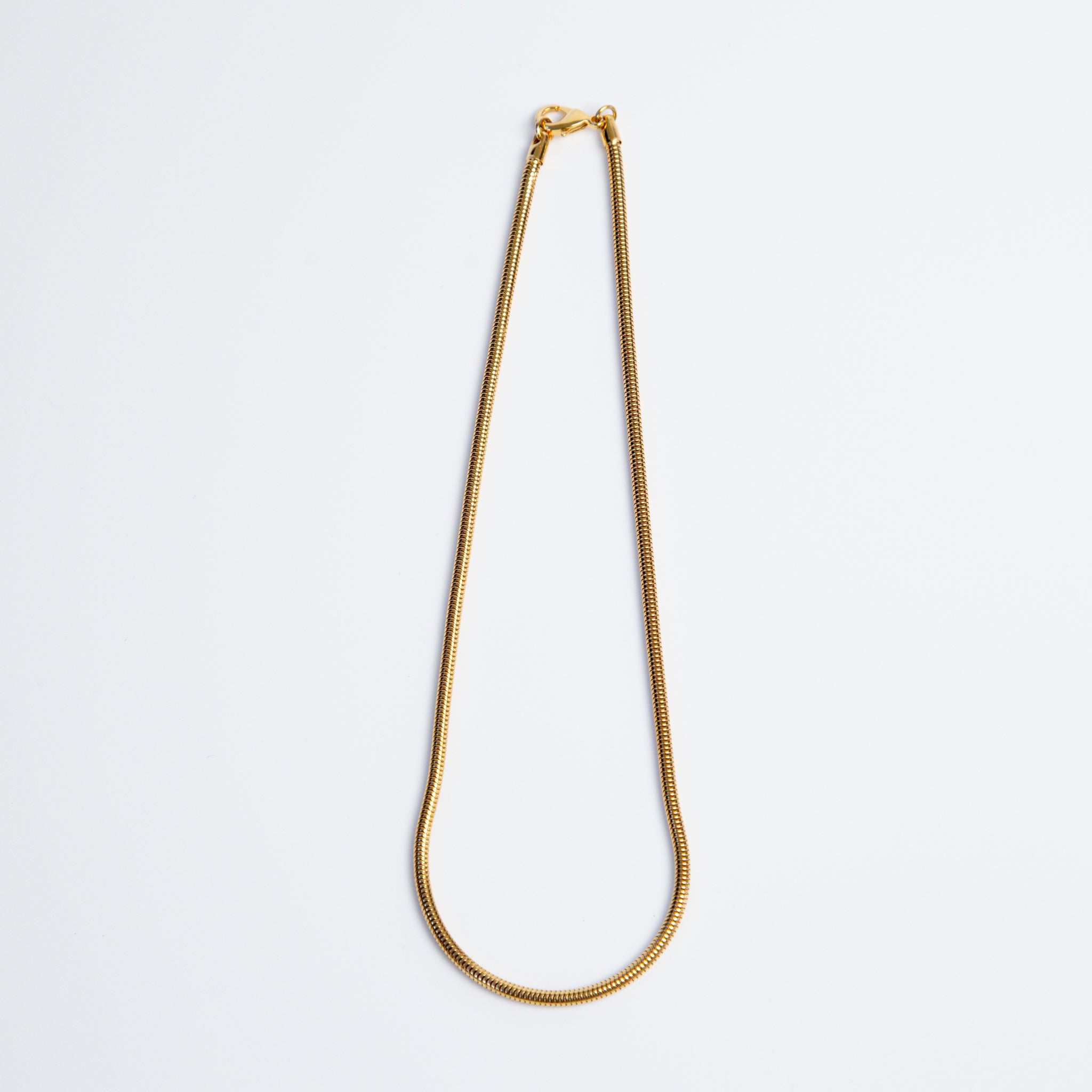 Snake Long Necklace