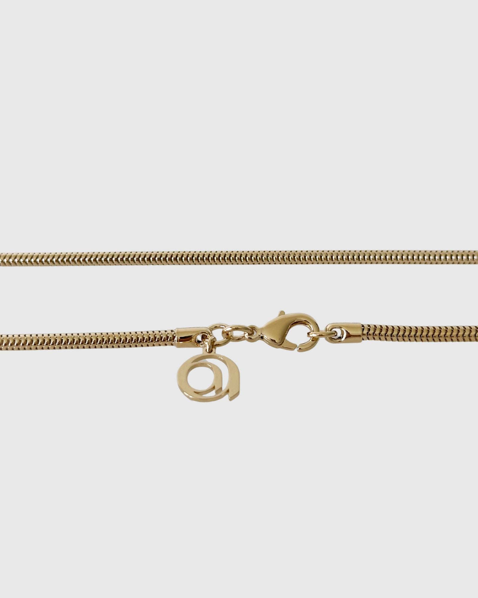 Snake Long Necklace